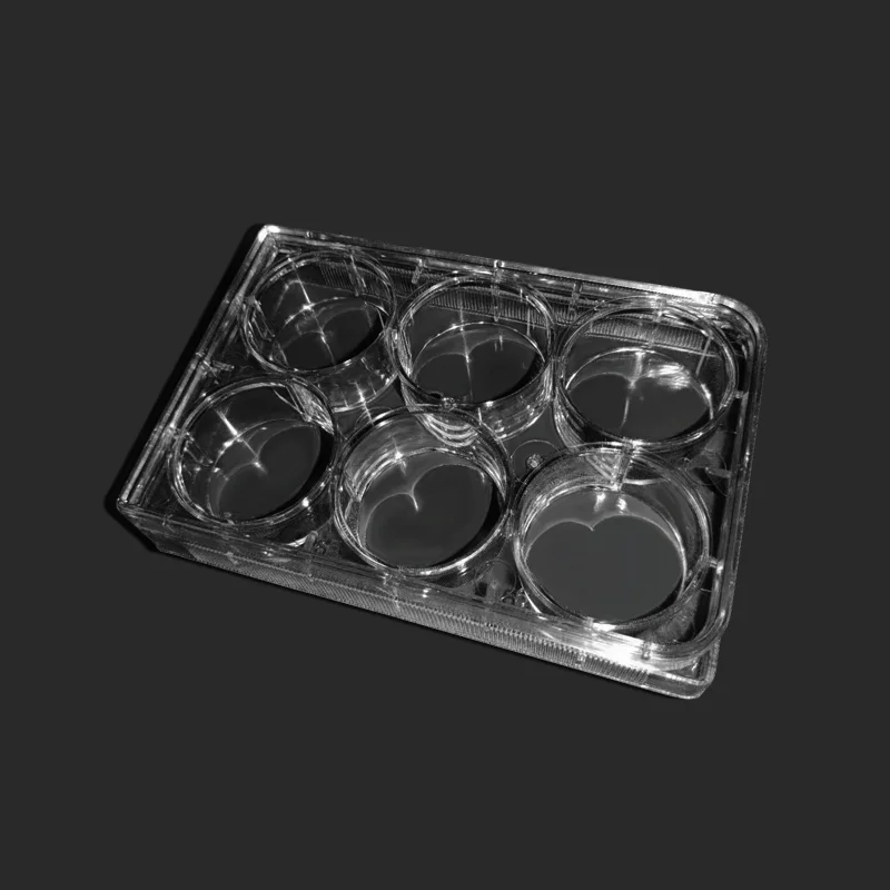 6 holes Disposable Cell Culture Plate With Cover Microplate Compartments Bacterial Culture Plate Sterile Package