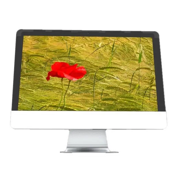 

Cheap Price Style Gaming Monoblocks 21.5 24 27 Inch I3 I5 I7 IPS Display 250G Ssd Allinone Computer Desktop Pc