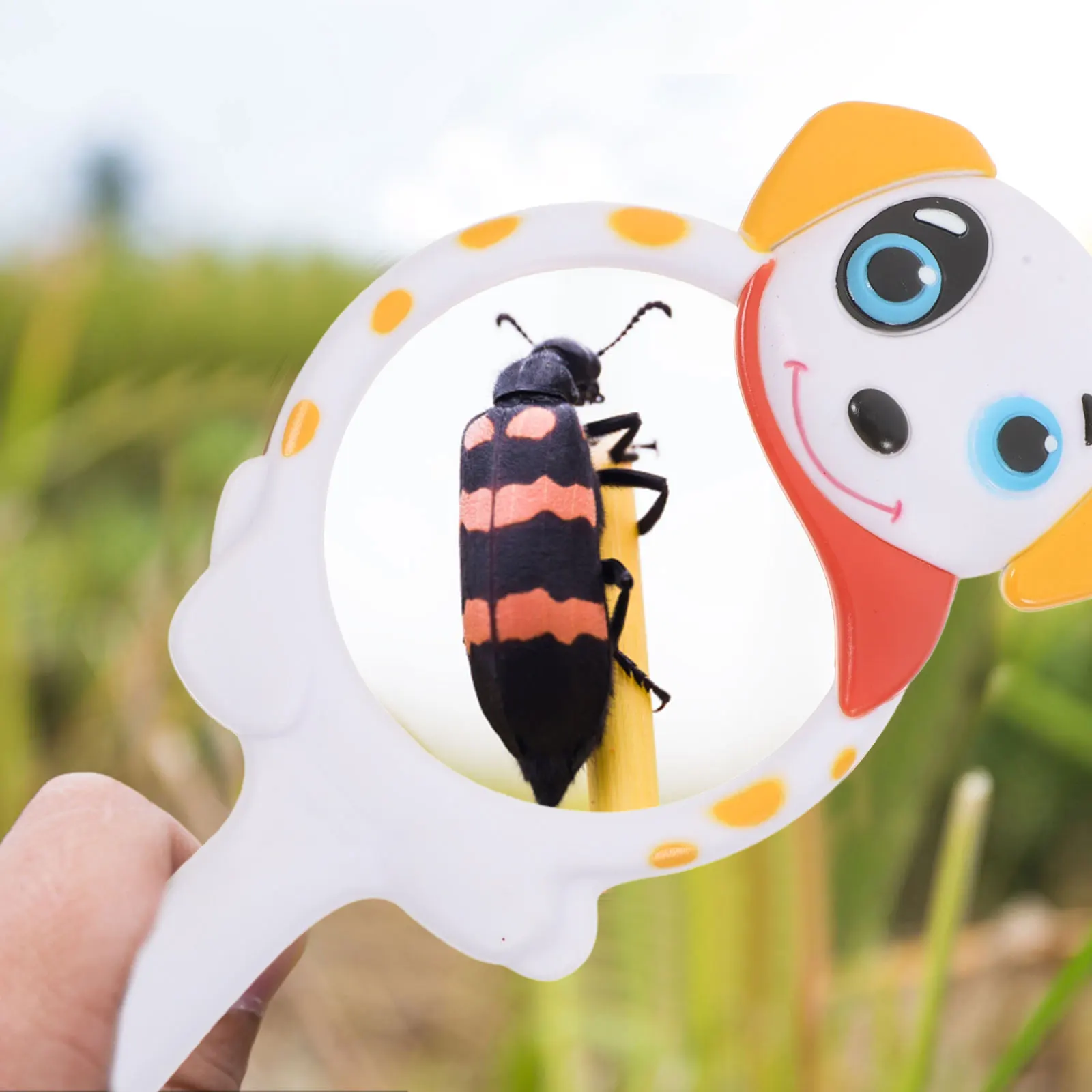 

Animal Magnifying Glass Kids 3x Cute Cartoon Butterfly Bee Handheld Mini Science Toys Portable Insect Observation Tool Reading