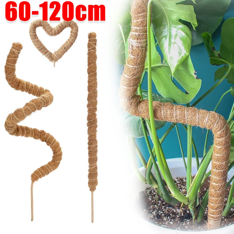60-120cm Bendable Plant Climbing Palm Cane for Indoor Coco Coir Plant Monstera To Grow Upward Support Garden Plant Stick Stakes