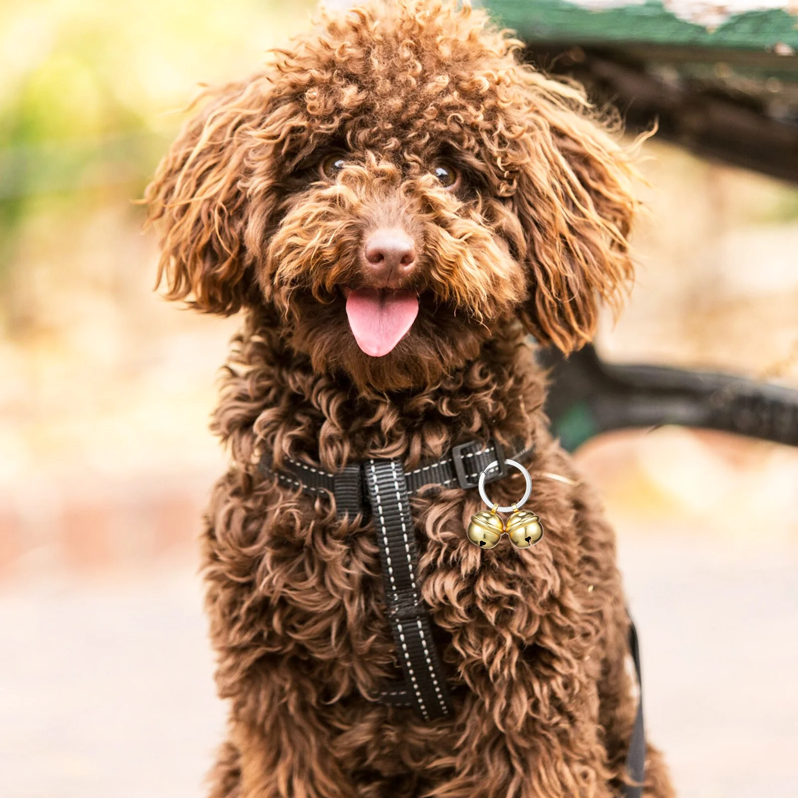 

1 set Pet Collar Accessories Copper Bell For Cat Dog Lightweight Durable Rust-Resistant Small Bells Decorative Cat Bells Dog