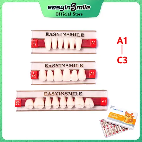 A1 A2 A3 Denture Teeth Dental Resin Teeth Upper Anterior Lower Dentier Teeth Synthetic Polymer Teaching Model