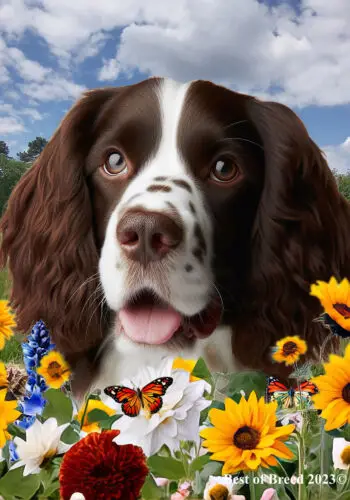 Springer Spaniel Liver/White Summer Fields Flag