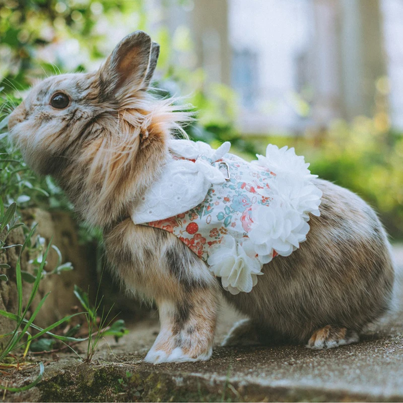 

Модная поводок с кроликом и котенком, набор регулируемых поводков для домашних животных, Поводок для маленьких животных, кроликов, походные аксессуары