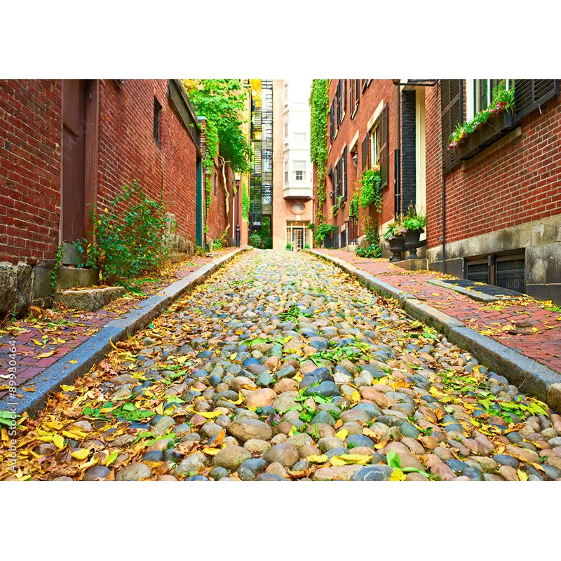 خلفيات تصوير فوتوغرافي اوروبية عتيقة من نيتري ، مستلزمات مشهد ، خلفيات صور زفاف ، خلفية استوديو ، *