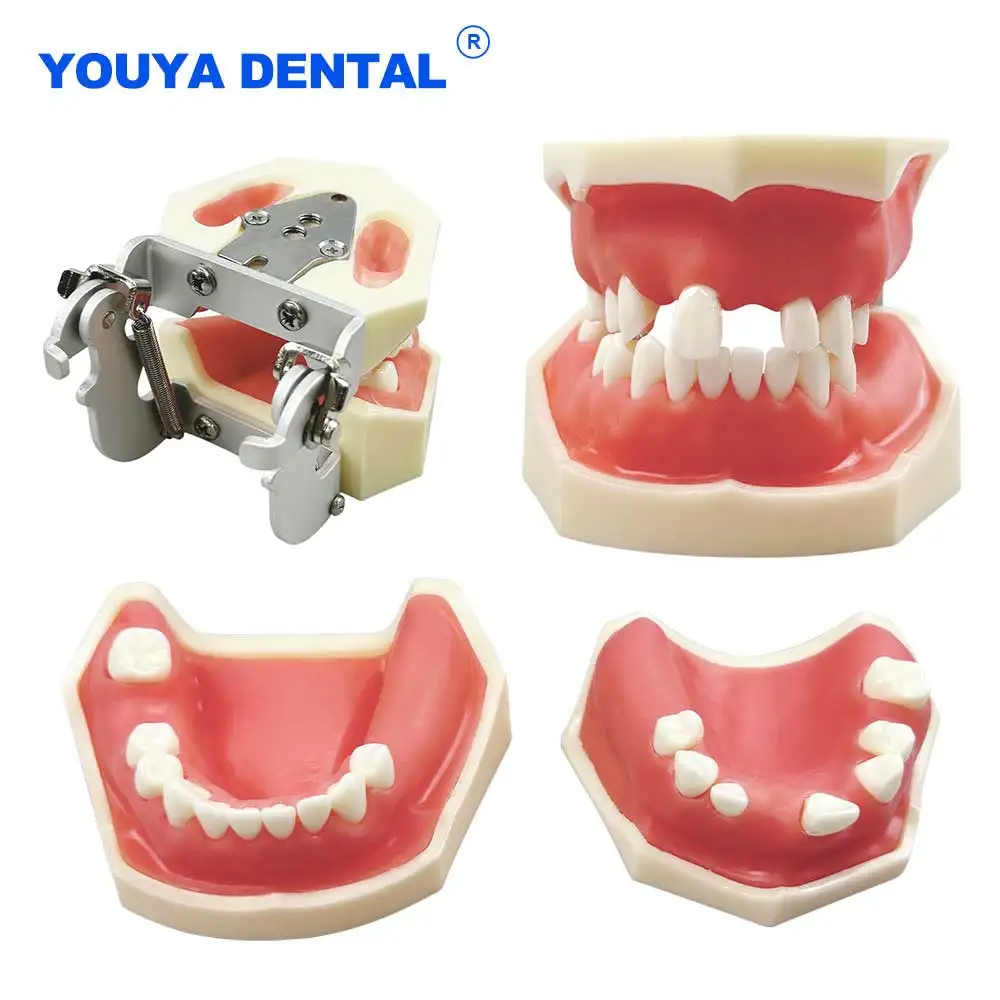 

Обучение зубного имплантата, модель зубов верхнечелюстной пазухи, отсутствующие зубы, тренировочная модель мягкой десен для упражнений для студентов-стоматолога