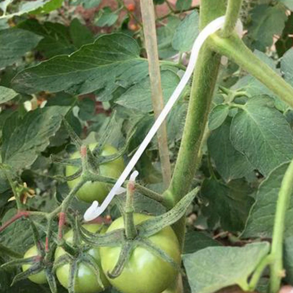 100pcs Tomato Vegetable Support Clips Reusable Plastic Gardening Plant Hooks Climbing Vine Binders Sturdy Easy Install