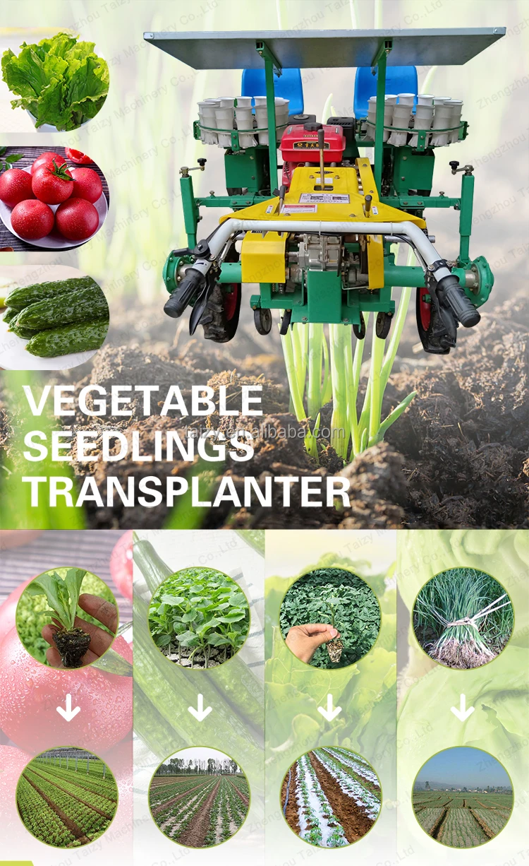 Self-propelled vegetable sowin - đánh giá và giá Vegetable Transplanter