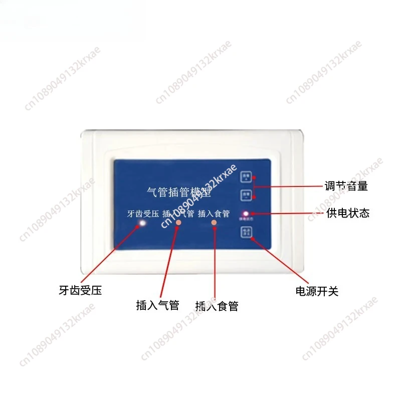 Human Body Adult Intubation Manikin Teaching Model 110-220V Electronic Airway Management Trainer Tracheal Intubation Model