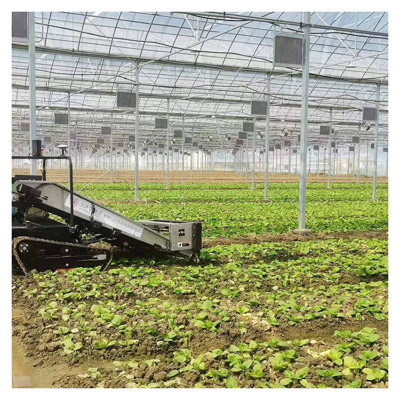 2025년 단일 경간 온실, 외부 차광 필름 온실, 다중 경간 채소 재배 온실