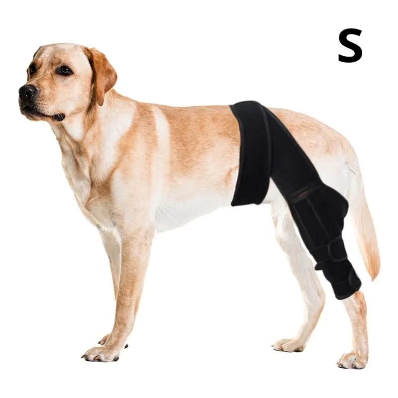 AT21-Dog Knee Brace For Torn ACL Hind Leg Rear Leg Support S