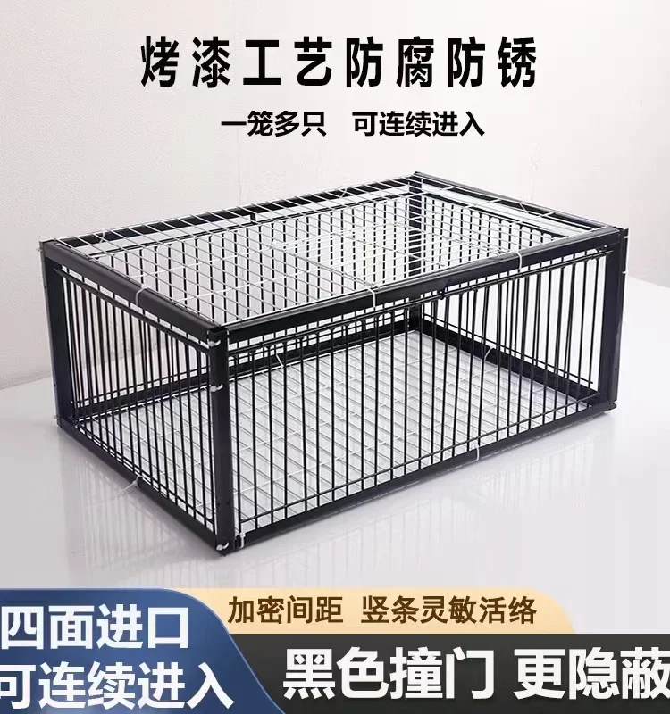 Foldable Galvanised Pigeon Bird Trap Cage Feral Pigeon humane way with the one-way entrance Trapping Pigeons doves In Cages