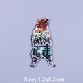 PE6613CT