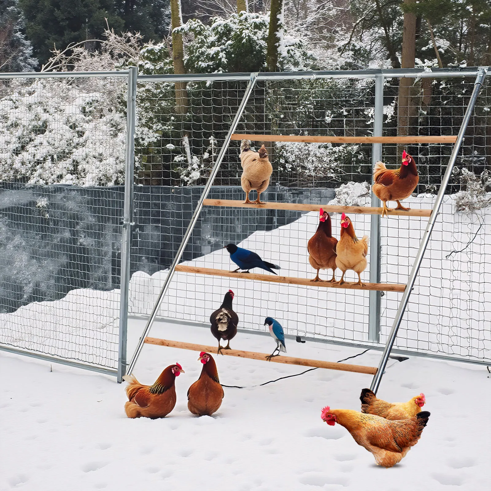 

Chicken Perch for Coop with Ladder Design, 104*143cm Outdoor Chicken Perch, Durable Hen Coop Access for Backyard Poultry