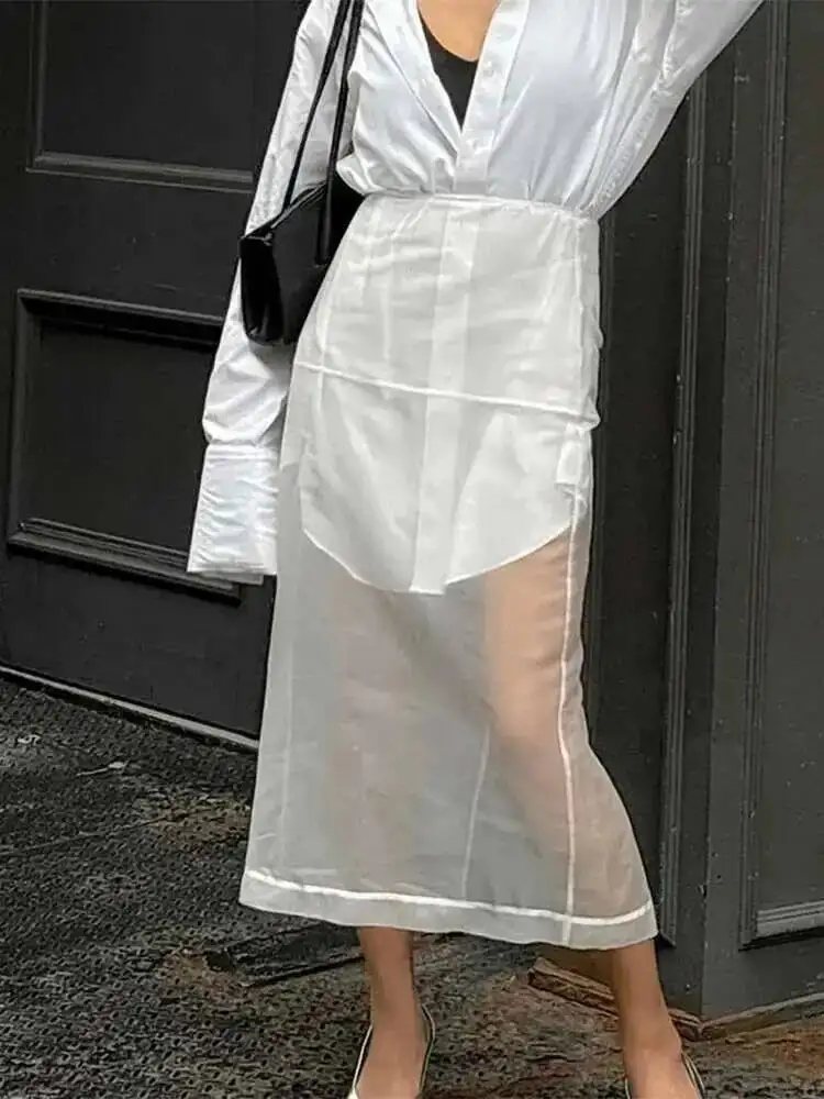 

Sexy sheer Mesh Skirt Women White High Waist Slit Loose Long Skirts Autumn Street Fashion Club Party Skirt Woman ATK6