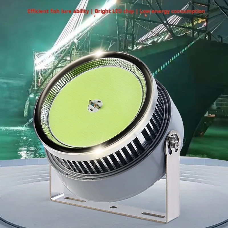 Luz Led para peces de 1000 vatios para barco de pesca al aire libre, resistente al agua, 220v, luz azul, señuelo de pesca de mar, luz de pesca de calamar