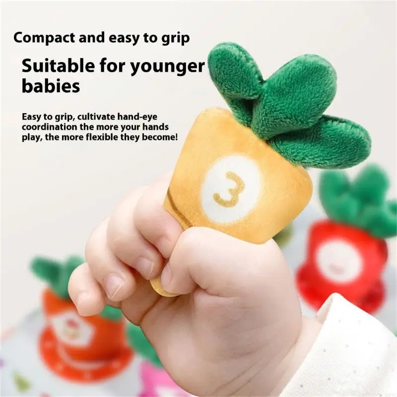 M89c Baby Learning giocattolo con carote in tessuto pull e texture interattive