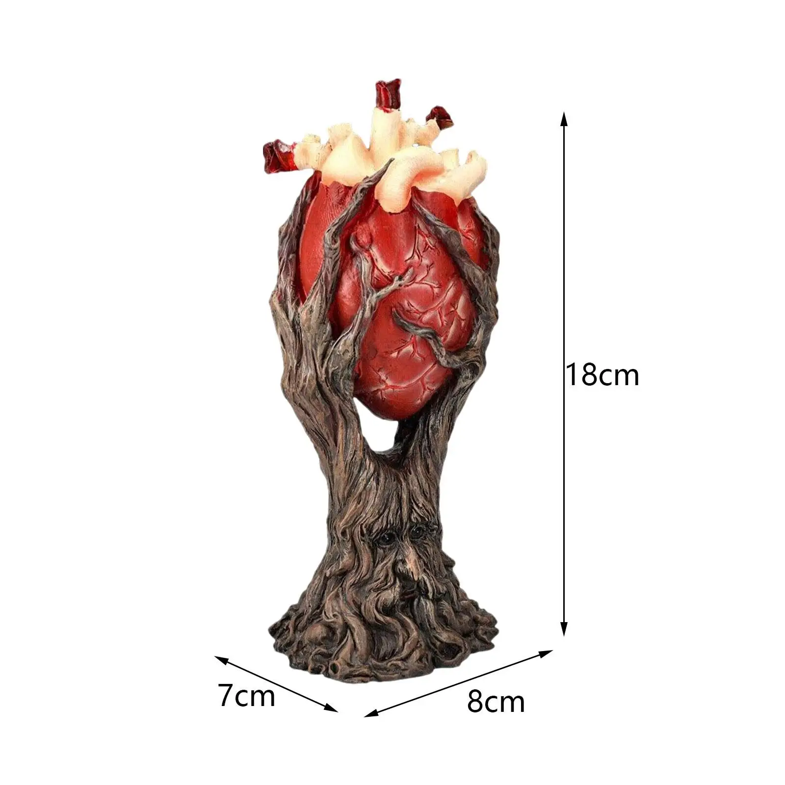Human Heart Structure Model with Stand Heart Model for Bookshelf Desk Home