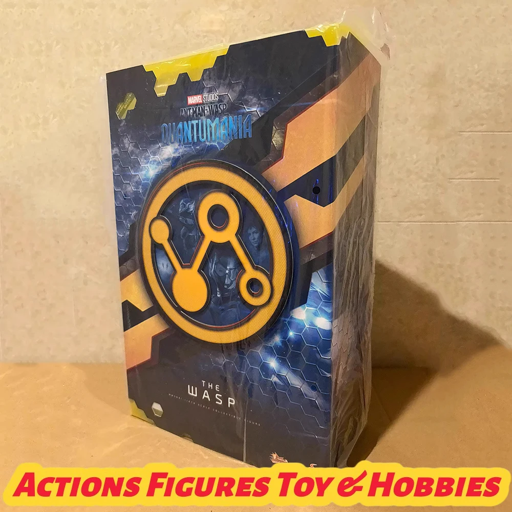 

In Stock Hot Toys MMS691 1/6 Scale Collectible Figure Ant Man and the Wasp Quantumania The Wasp Full Set 12Inch Action Figure