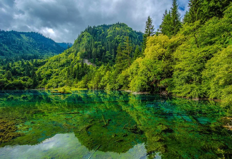 

Yudi Lingyue UD1611 4WD Матовый радиоуправляемый внедорожник — профессиональный для взрослых, пульт дистанционного управления 2,4G