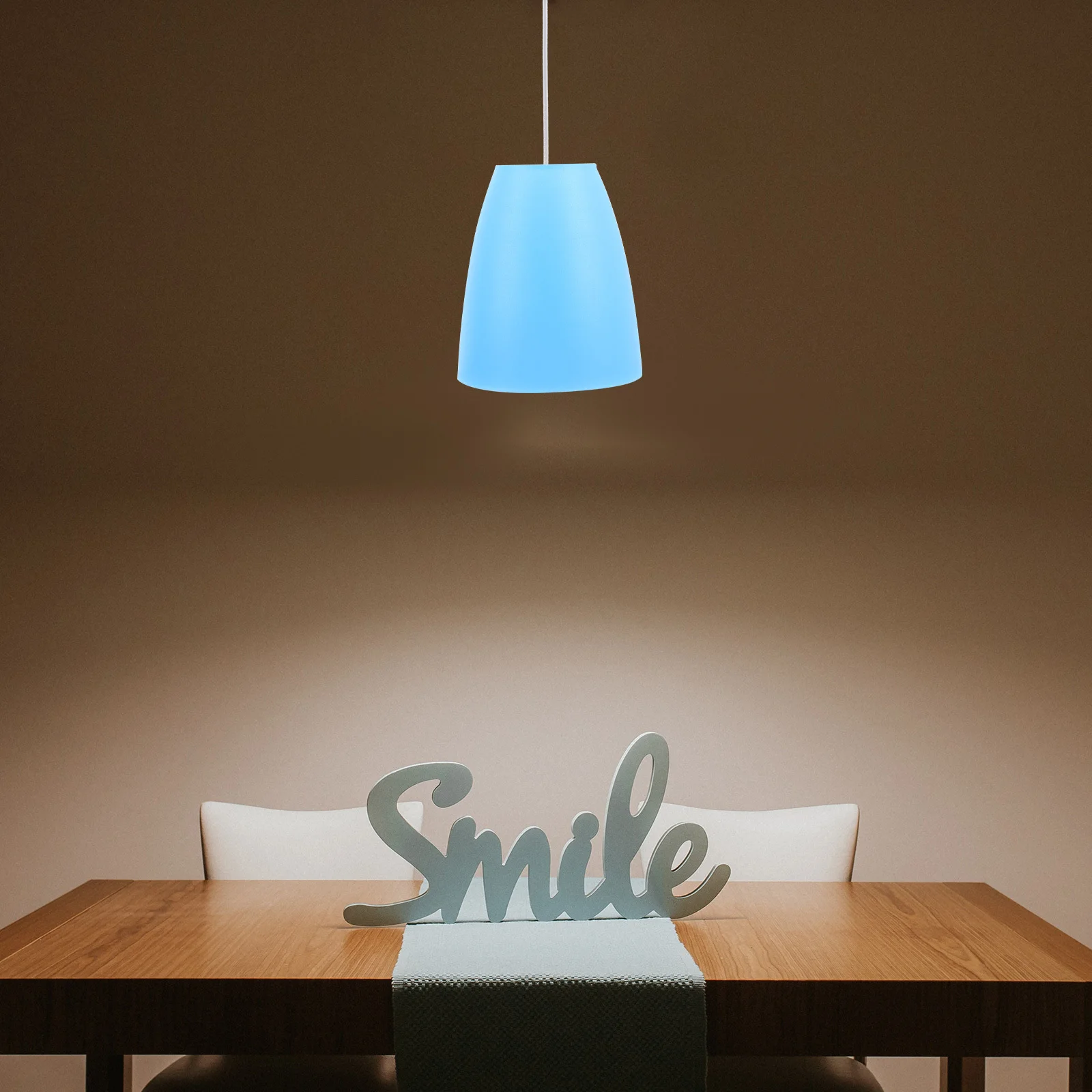 

2Pcs Small Lamp Shade 42mm Opening Plastic Retro Style Lamp Cover Indoor Light Accessories for Desk Wall Floor Pendant Lamps