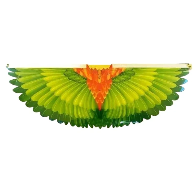 

Remote control bird wing accessories