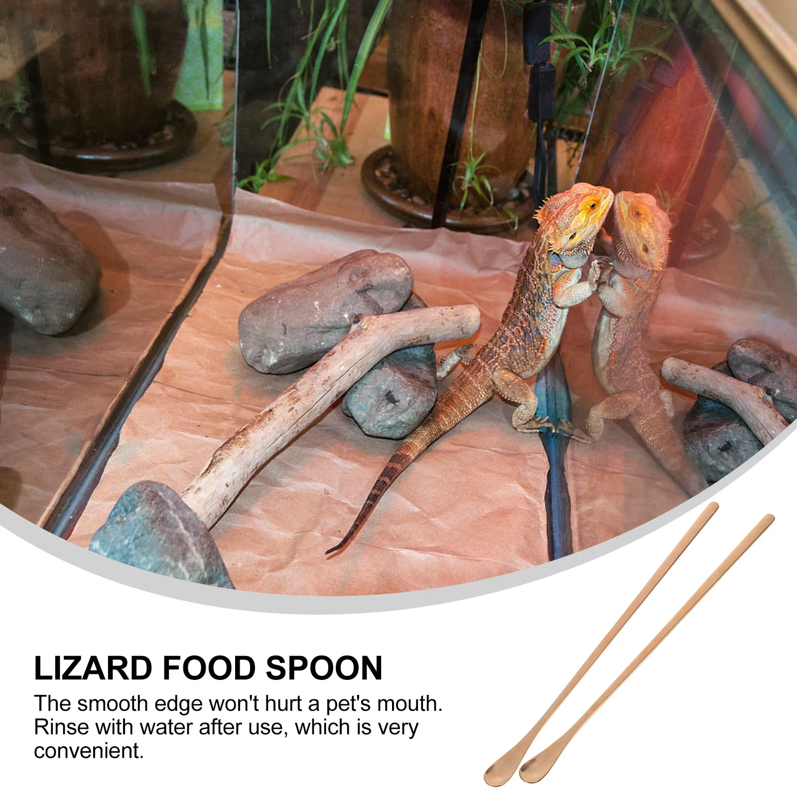 

2Pcs Ergonomic Reptile Feeding Spoon Polished Metal Surface Long Handle Lizard Food Tool Mix Wet Diet Efficiently Pet Scoop