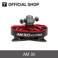 T-MOTOR AM30 3D KV1450 KV1750 KV2280 Class F3P Indoor Competition Aircrafts