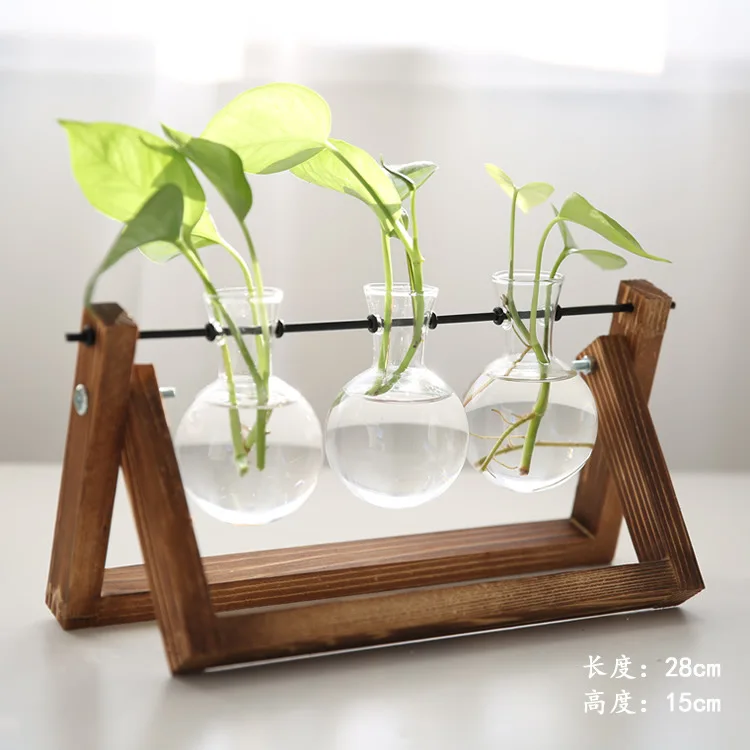 

Hydroponic Plant Transparent Vase Wooden Frame Vase Decoratio Coffee Shop Room Tabletop Decor Glass Tabletop Plant Bonsai Decor