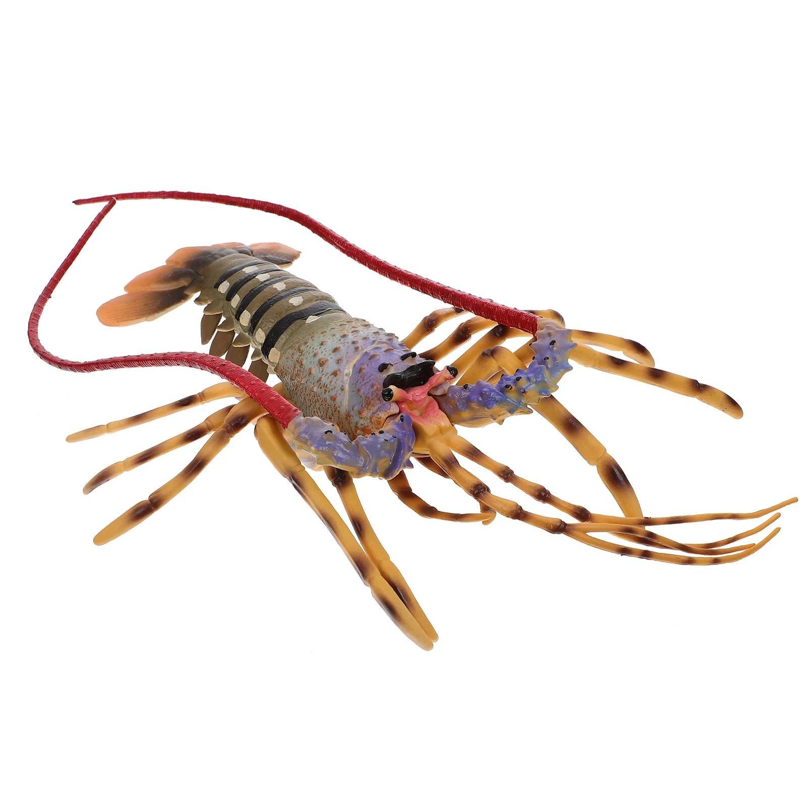 

Simulated Lobster Ornaments Plastic Large Decorative Model Toy Kids Gifts Seaside Animal Toys Realistic Lobster Design
