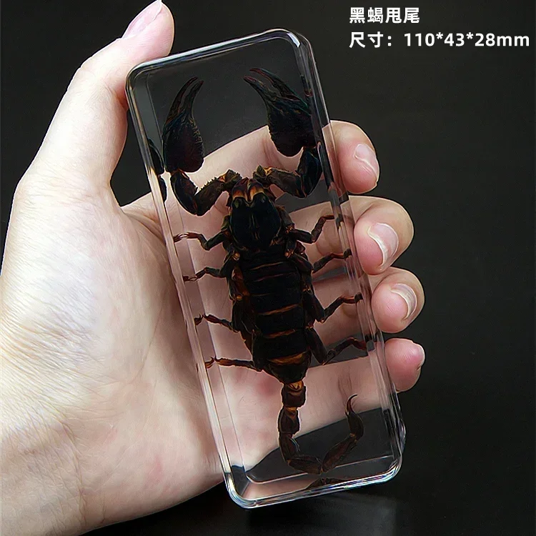 19 Resin Insect Specimen Centipede Spider Beetle Scorpion Biological Handmade Specimen Boy Gift