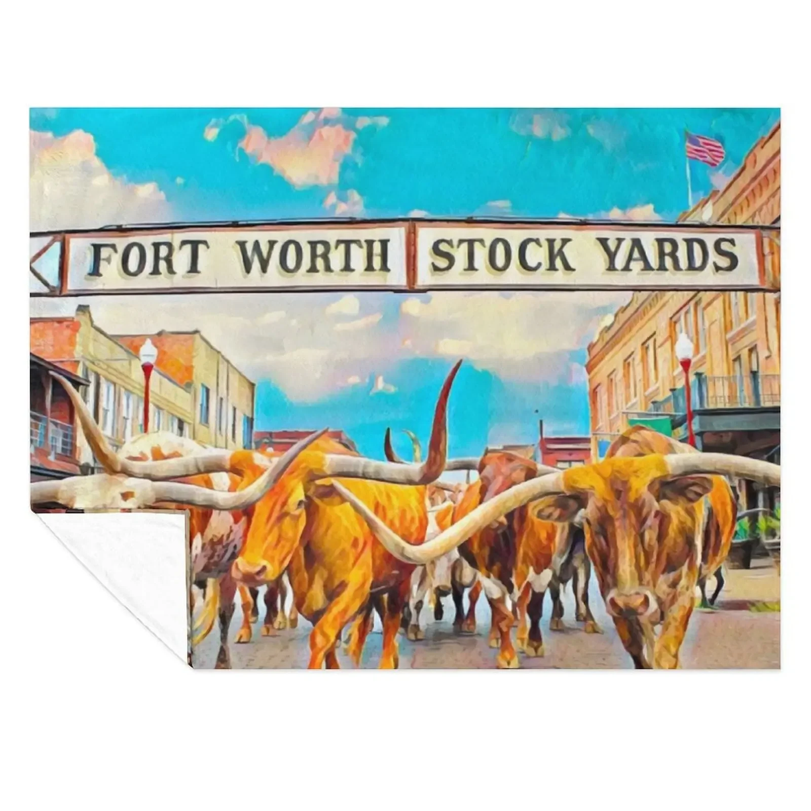 

Fort Worth, Texas Throw Blanket Tourist Hairy warm for winter for sofa Blankets