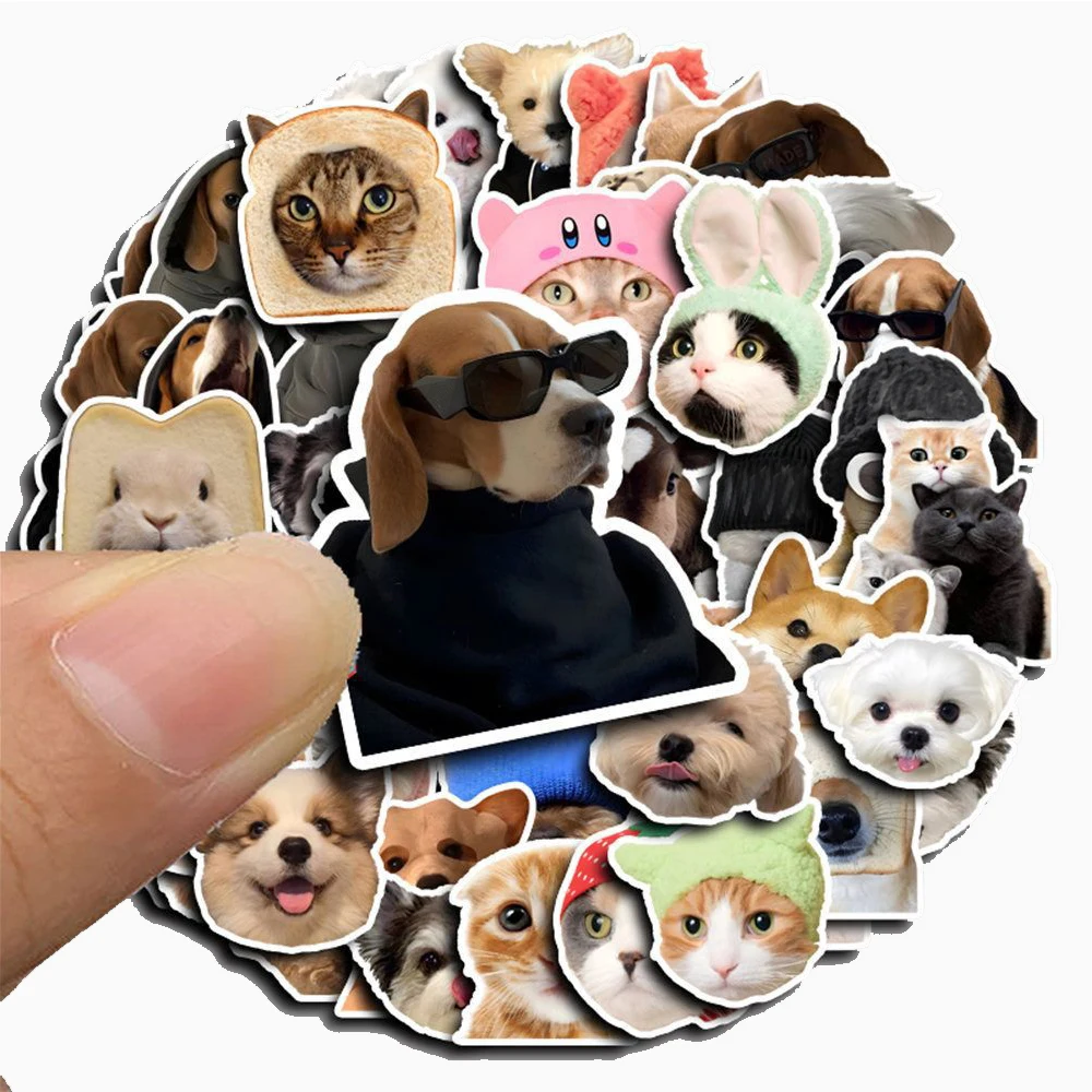 10/30/50pcs Funny Cat Dogs Meme Stickers Kawaii Kids Decals Toys Graffiti Luggage Laptop Phone Stationery Cute Cartoon Sticker