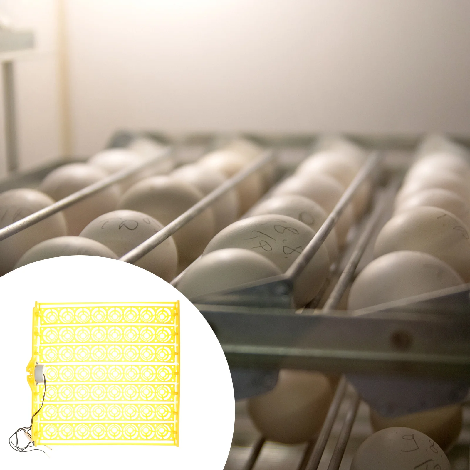 

Automatic Egg Turning Tray Incubator Hatcher Egg Turner Accessory for Chicken Quail Duck Bird Eggs High Heat Resistance