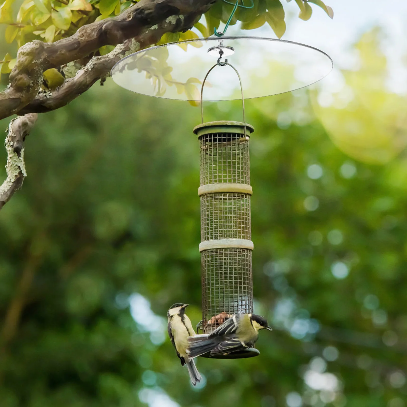 

Outdoor Bird Feeder Rain Cover Large Transparent Baffle with Sturdy Hook to Protect Feed from Squirrels and Wet Weather