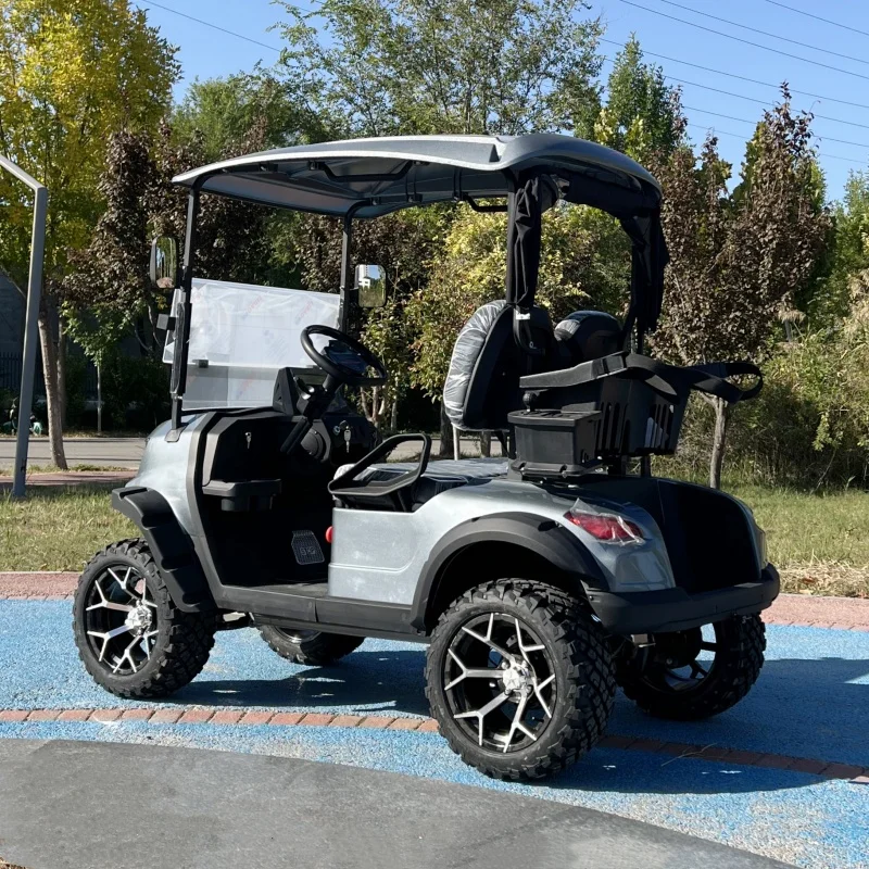 New Electric Supplier Customized High Performance Electric Golf Cart Hunting 2 4 Seater Buggy 5000w Golf Cart Electric