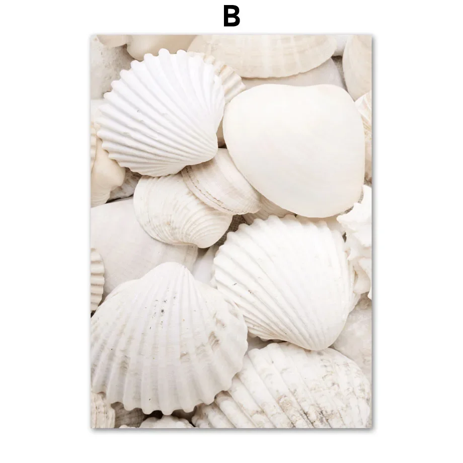 Scandinavian Simple Wall Art White Seashells Beach Flowers Dandelions Canvas Poster Prints Home Bedroom Living Room Decoration