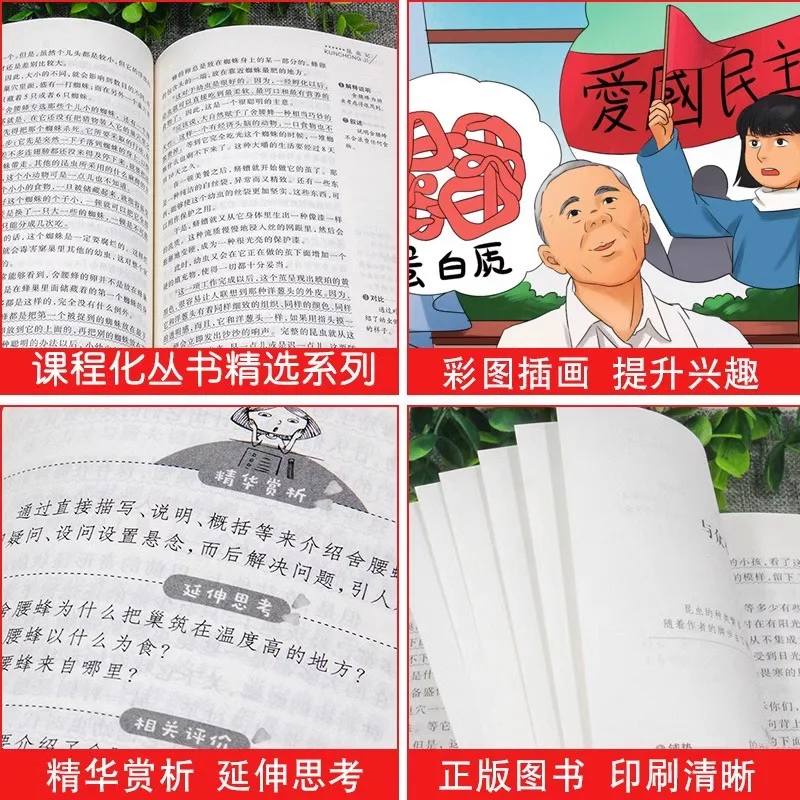 Libri per la scuola primaria e secondaria, libri per bambini, opere classiche e 5000 anni di storia cinese