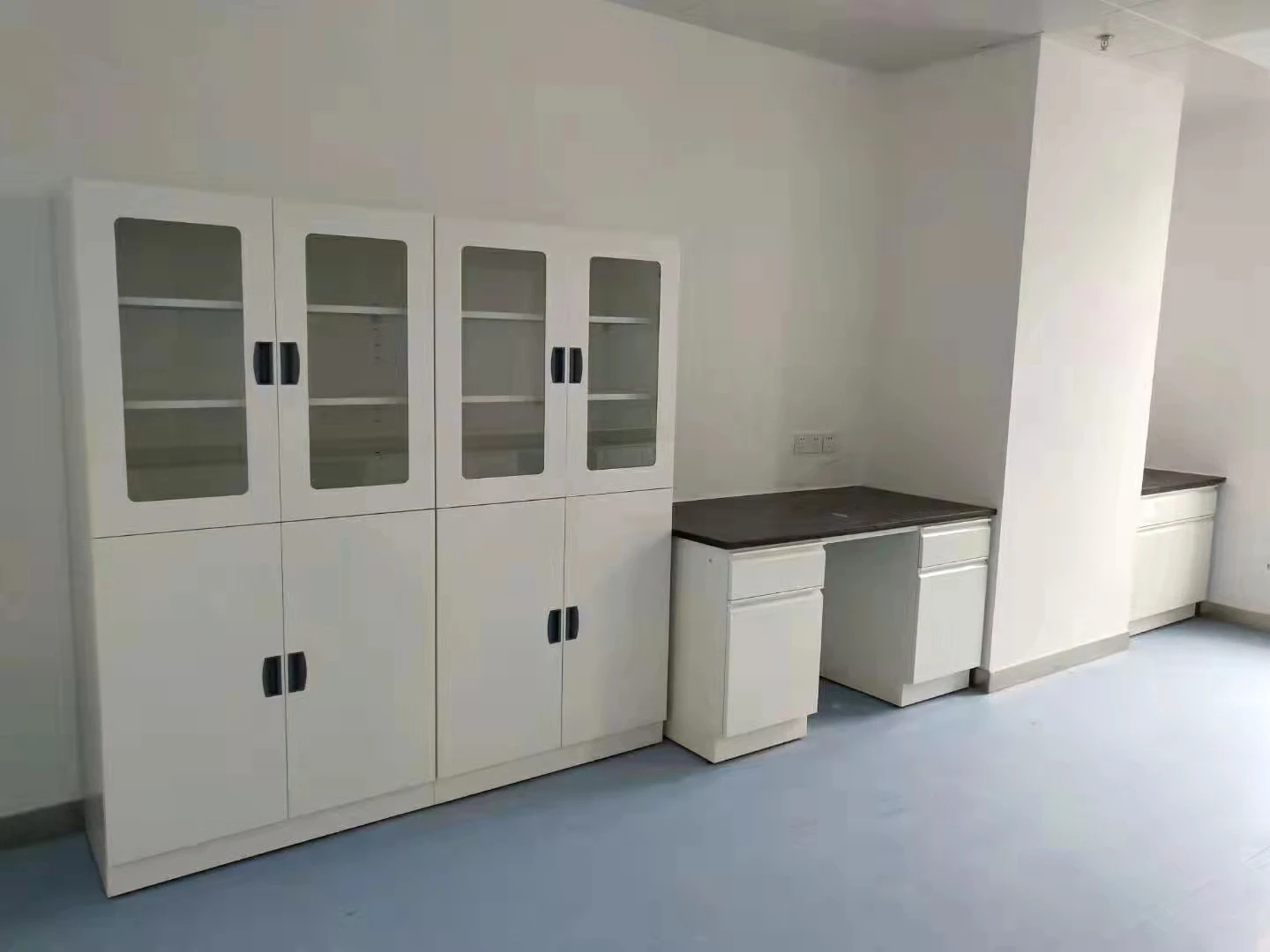High Quality Glass Door Laboratory Storage Cabinet for Schools for Chemical Storage
