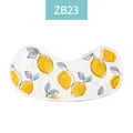 ZB23