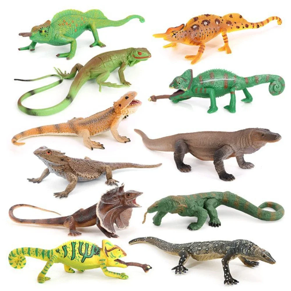 Simulated reptile lizard model, umbrella lizard mane, lion lizard, giant lizard, chameleon, children's early education cognitive