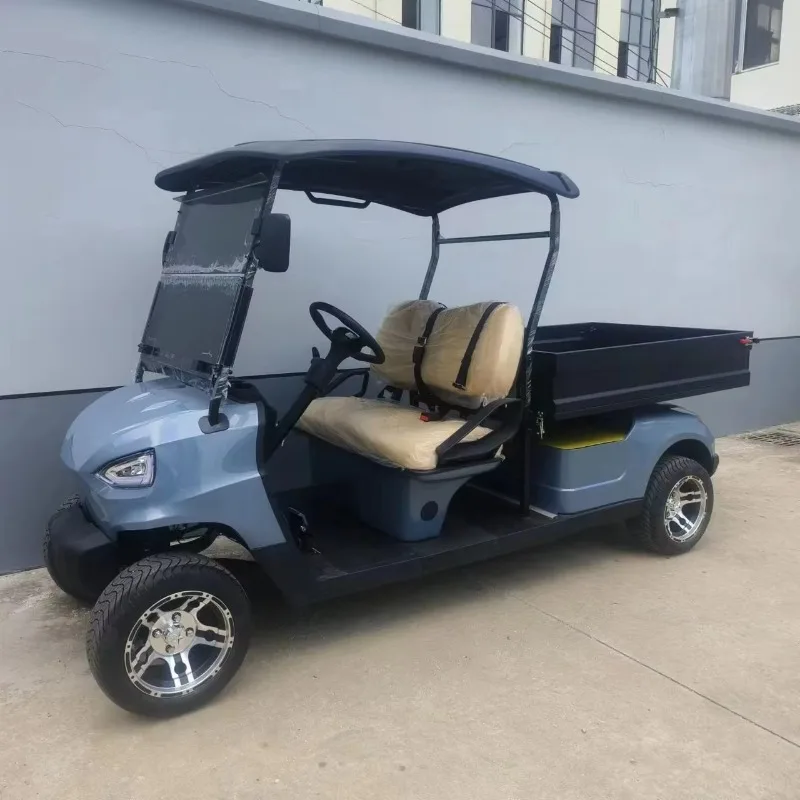 Battery Operated Electric 2 Passenger Golf Cart Electric With Cargo Box
