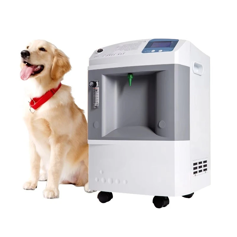 Double Flow Medical Oxygen Concentrator: 10L Pet Clinic O2 Generator for Veterinary Care for Pet Care and Commercial Equipment