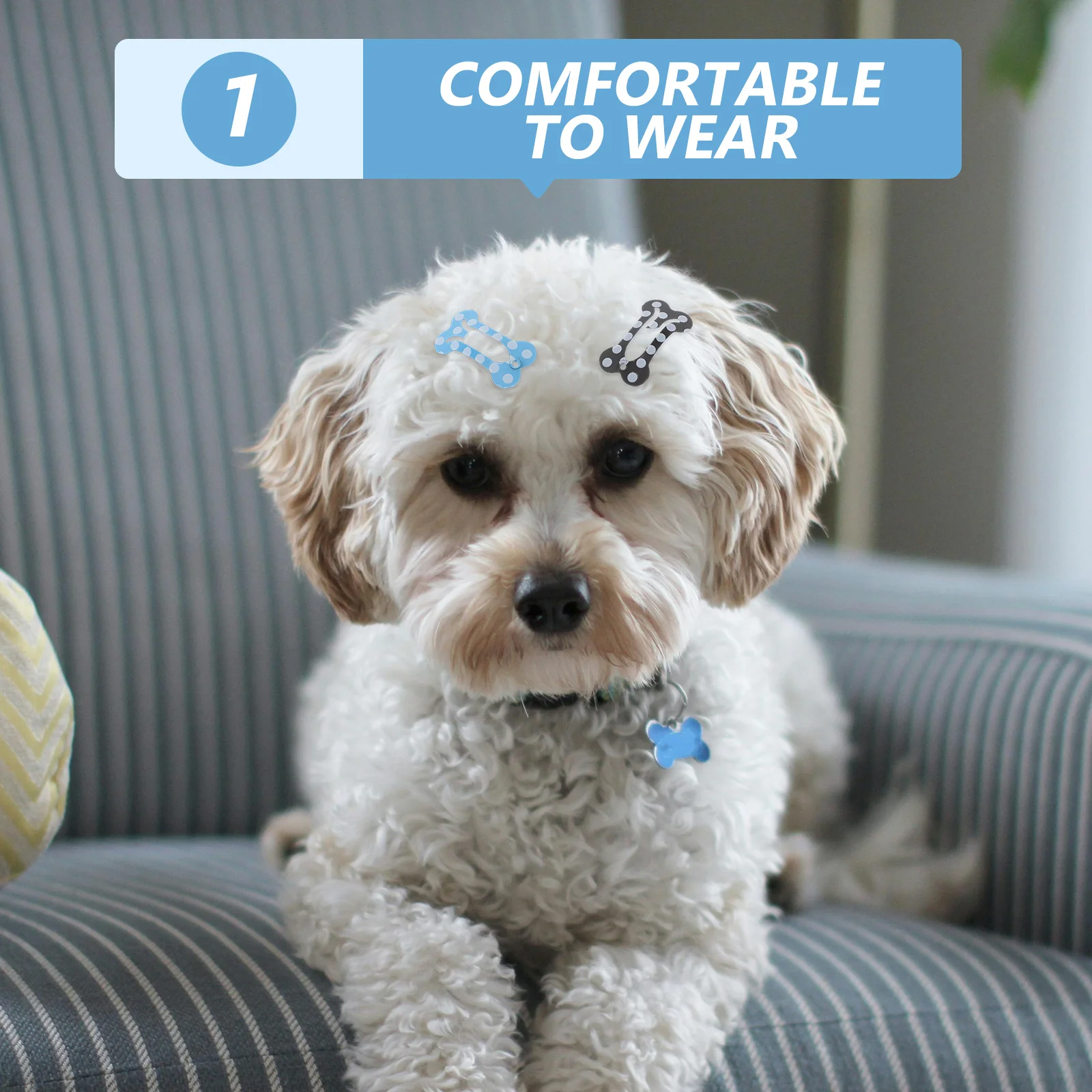 

20Pcs Dog Hair Clips Small Bone Shaped Pet Hair Barrettes Lightweight Clips for Dogs Puppies Cats Grooming Decorative