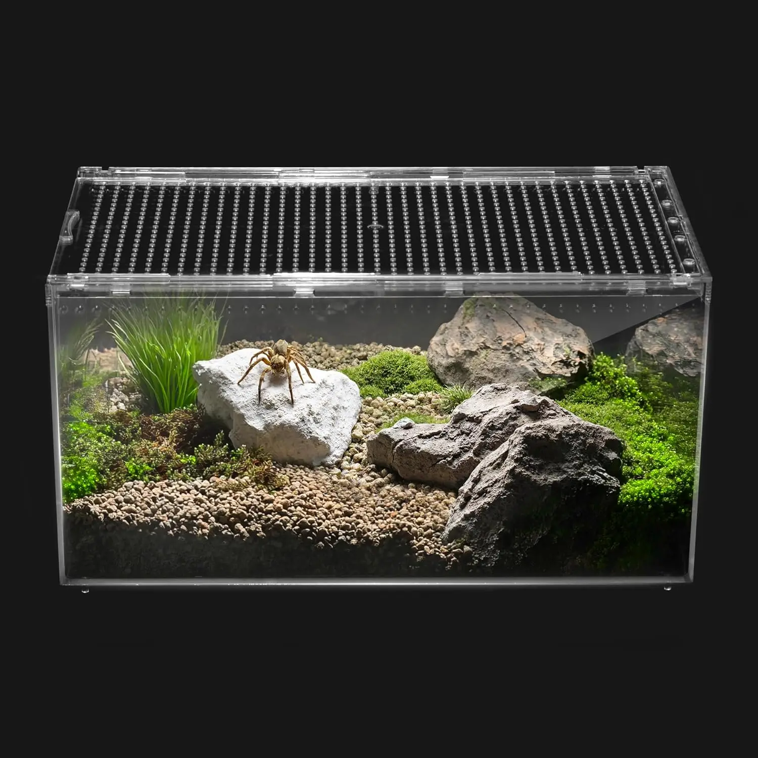 PC Transparent Reptile Terrarium Starter Kit Habitat Cage for Leopard Gecko Lizard Spider