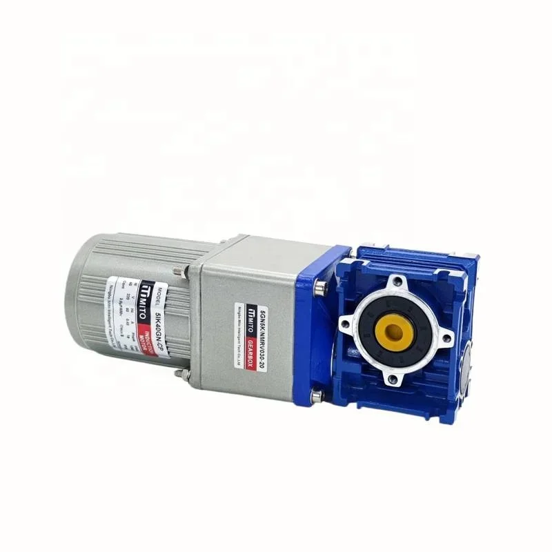 High torque self locking AC110V 220V 90W 120W 180W 200W speed controller RV030 RV040 worm gear reducer motor with flange