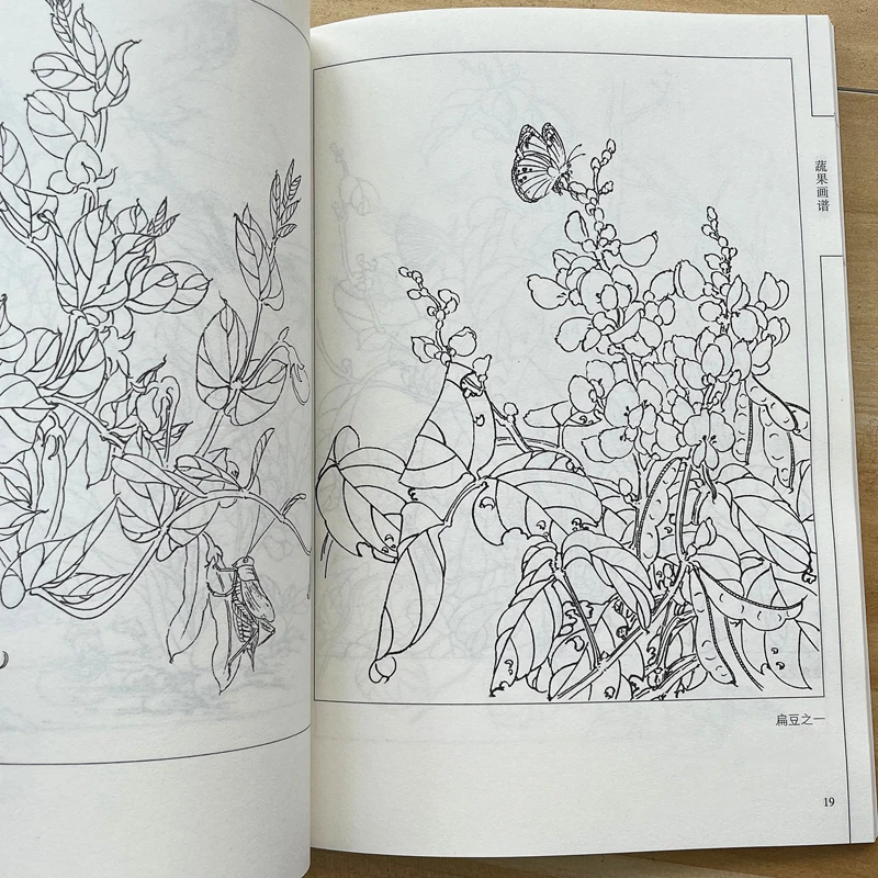 Chinese Line Drawing Manuscript Book Meticulous Painting Line Draft Set Bird Fruit Vegetable Martial Art Character Picture Album