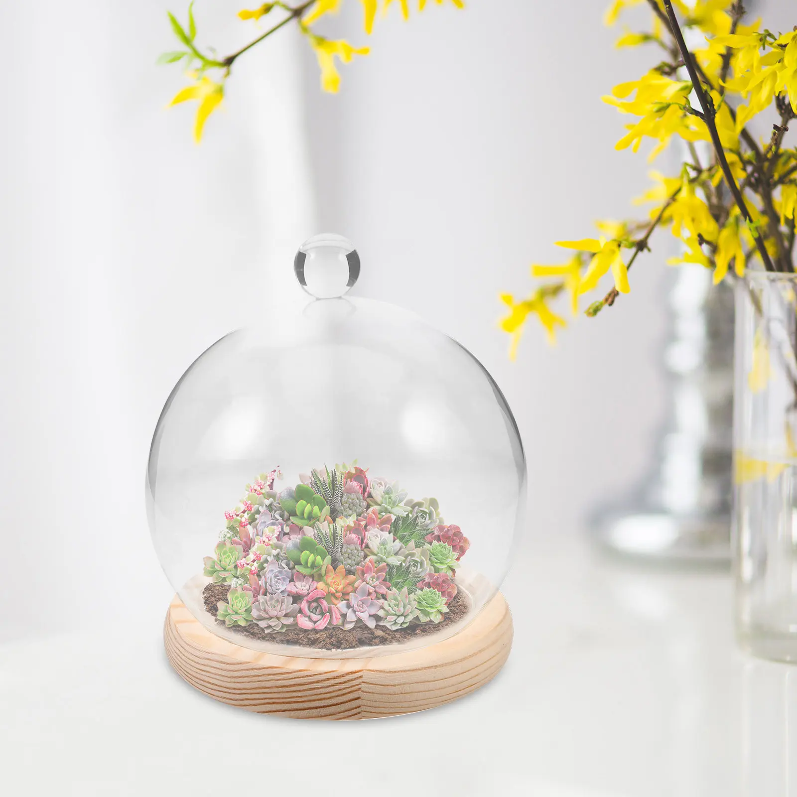 1Set Clear Glass Display Dome with Wooden Base for Preserved Flowers Eternal Roses Micro Landscape Terrarium Cloche Decor