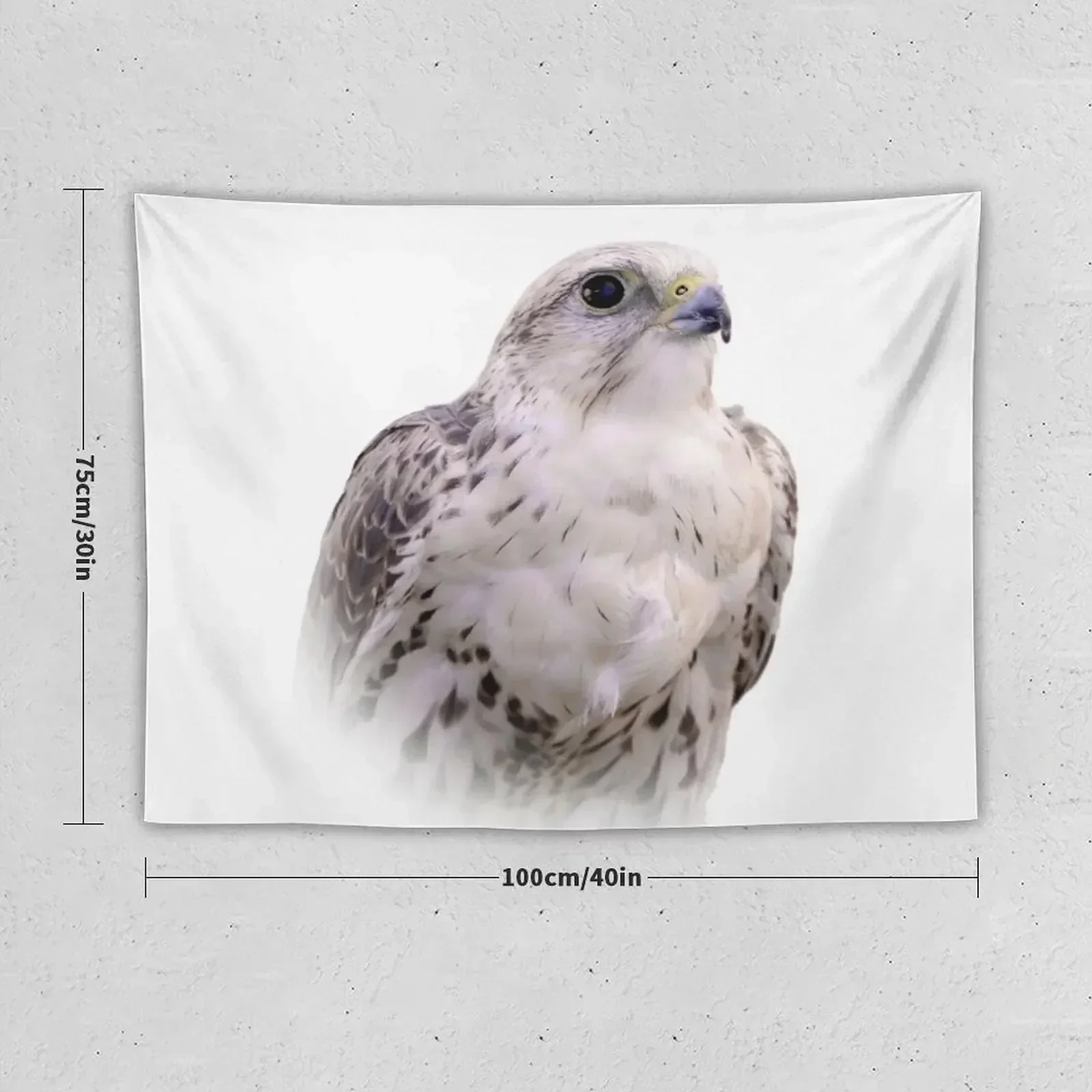 Up Close and Personal with a Stunning Saker Falcon Tapestry Wall Hanging Wall Funny House Decoration Decoration Room Tapestry