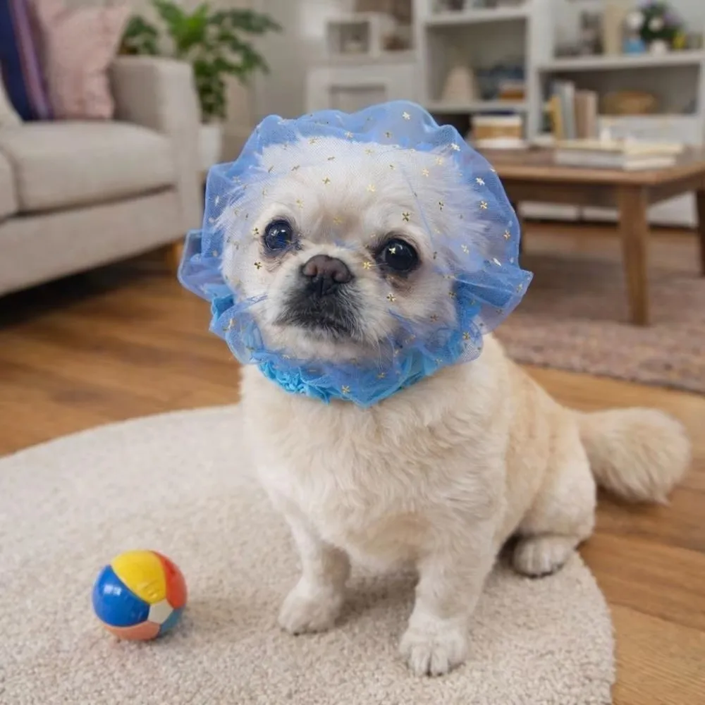 Breathable Dog Anti-Eating Veil Comfort Elastic Pet Dog Mouth Cover Polyester Adjustable Pet Protective Mask Behavior Control